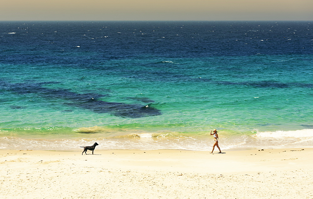 A Young Woman Walks On The Beach Of The Mediterranean Sea With Her Dog, Tarifa, Cadiz, Andalusia, Spain