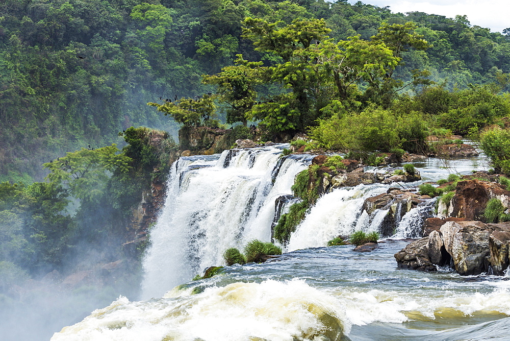 Trees And Rocks Next To Iguazu Falls, Parana, Brazil