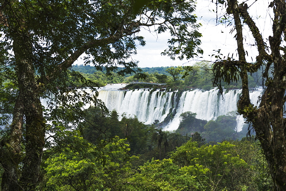 Iguazu Falls Seen Between Branches Of Trees, Parana, Brazil