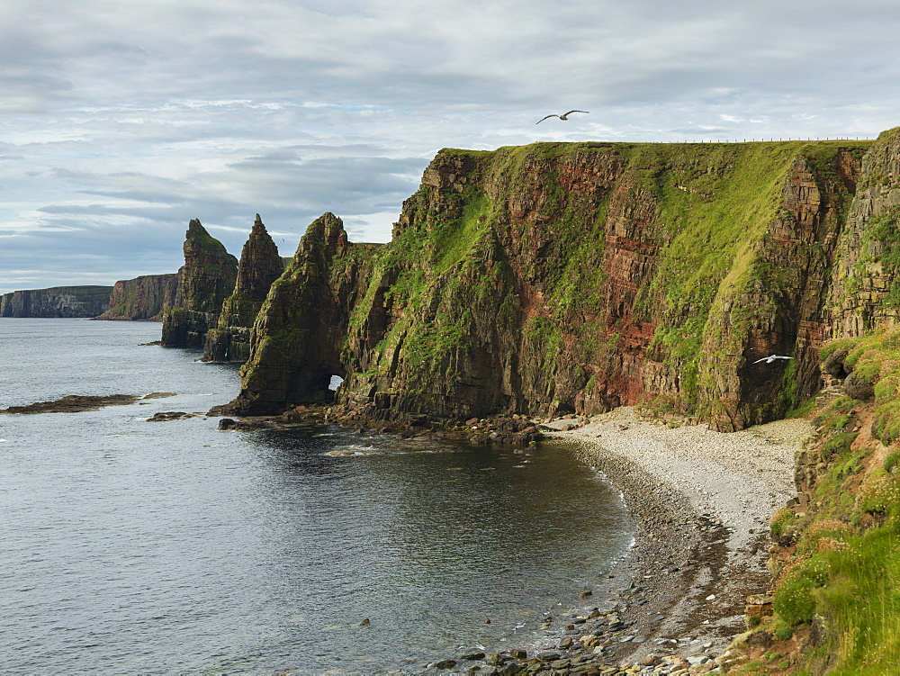 Sea Stacks And Cliffs Along Duncansby Head, John O'groats, Scotland