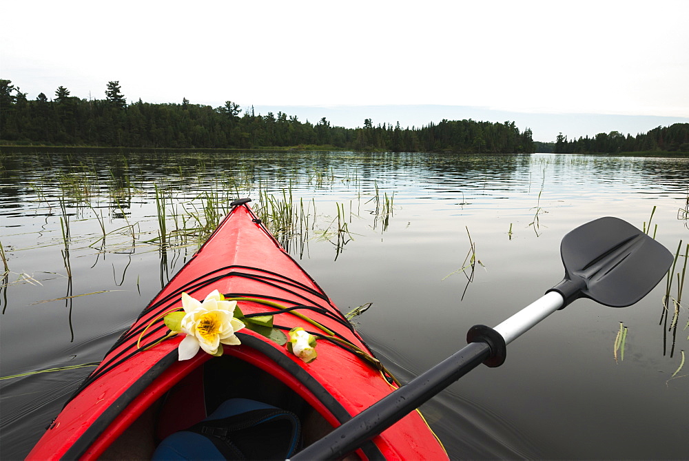 A Red Kayak And Paddle With Fresh Flowers Placed On The Bow While Floating In A Lake, Ontario, Canada