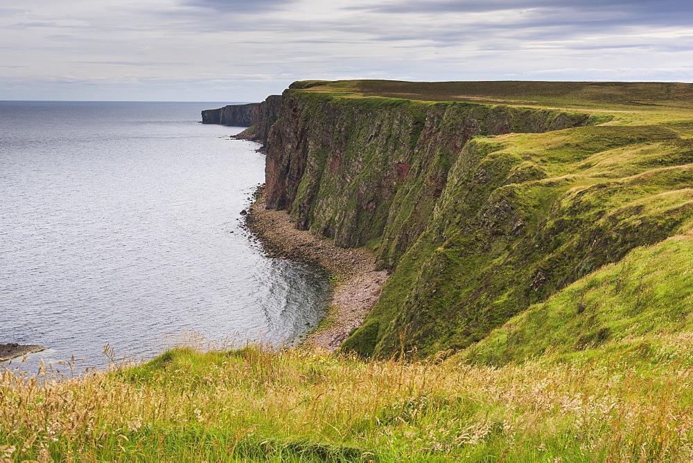 Cliffs Along The Coastline Of Duncansby Head, John O'groats, Scotland