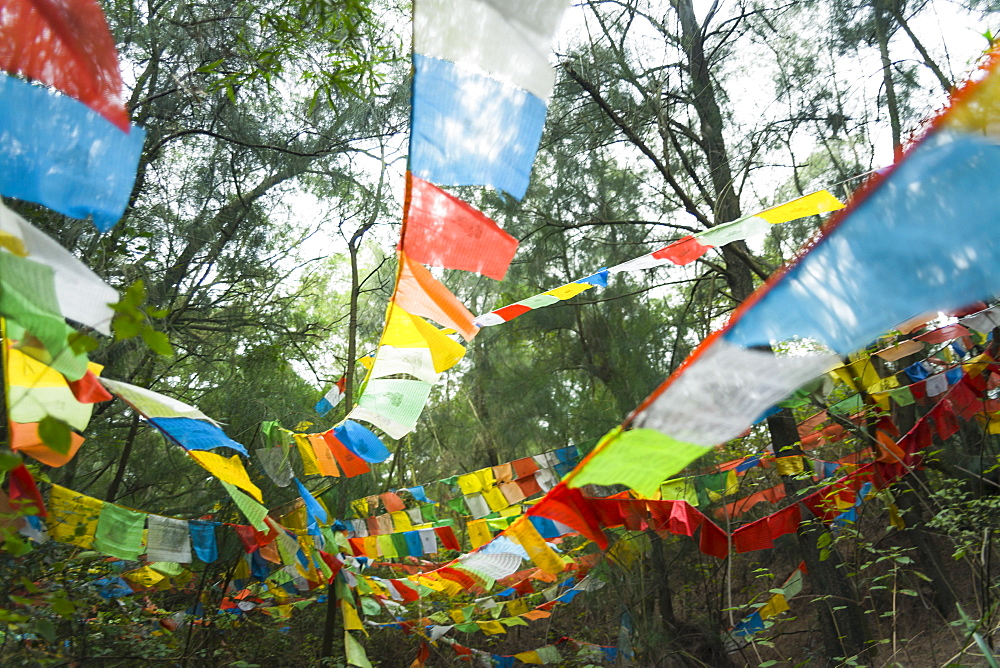 Beautiful Tibetan Flags In The Forest, Xiamen, Fujian Province, China