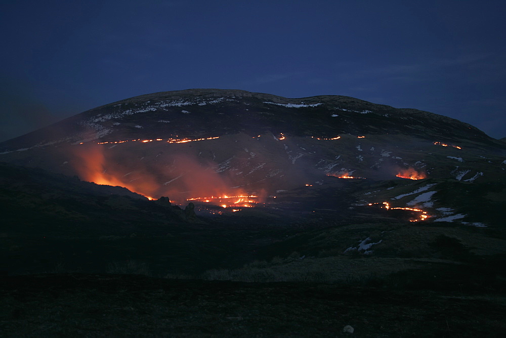 Controlled Burn In Wildlife Management Area