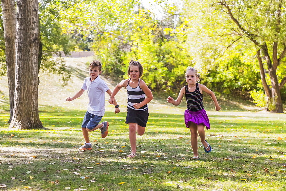 Three Siblings Racing In A Park, Edmonton, Alberta, Canada