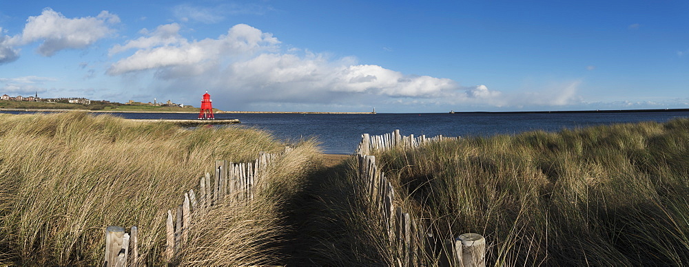 Path Lined With Wooden Posts And Tall Grass At The Coast, Herd Groyne Lighthouse In The Distance, South Shields, Tyne And Wear, England