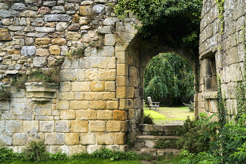 Stone Wall Overgrown With Plants And Steps Up To A Walkway