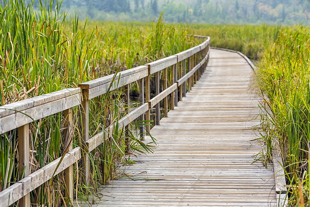 Ominik Marsh Boardwalk, Riding Mountain National Park, Manitoba, Canada