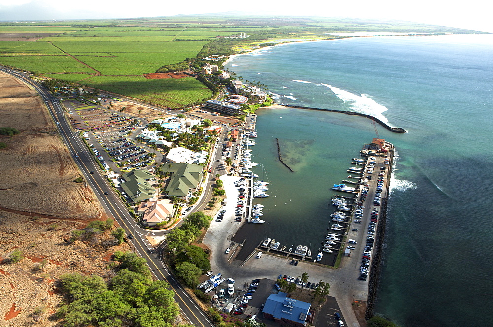 Aerial View Of Ma'alaea Harbor, Whale Watching Charter Boats, Maui Ocean Center Aquarium, Sugar Beach And Sugar Cane Fields In The Background, Maui, Hawaii, United States Of America