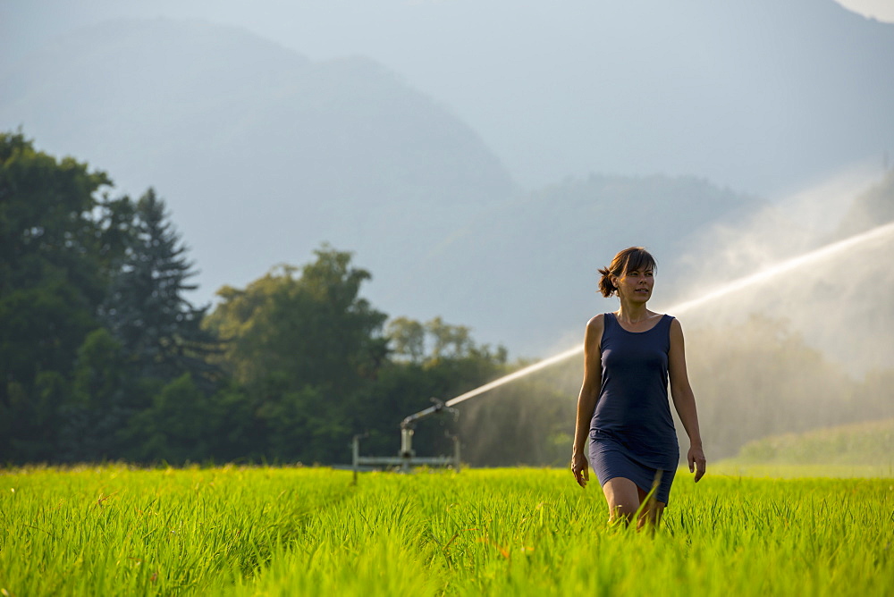 A Woman Walks Through A Lush Green Field With A Sprinkler Spraying Behind Her, Ascona, Ticino, Switzerland