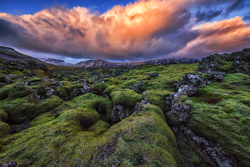 Moss Covered Lava Flow At Sunrise On The Snaefellsness Peninsula, Iceland