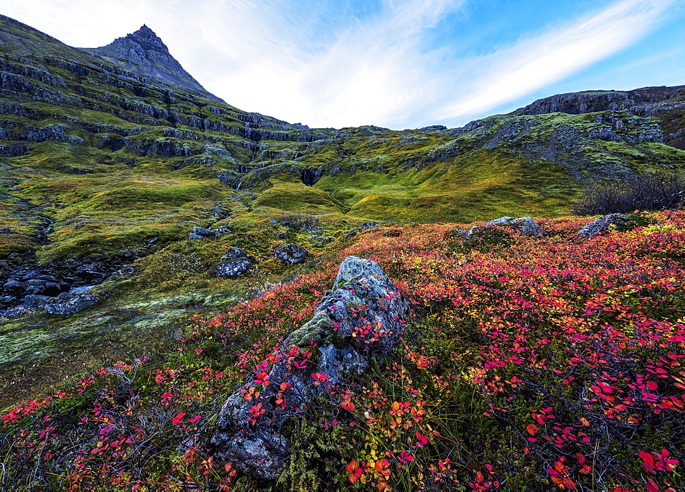 The Valley In The Fjord Called Mjoifjordur On The Eastern Coast Of Iceland, Iceland