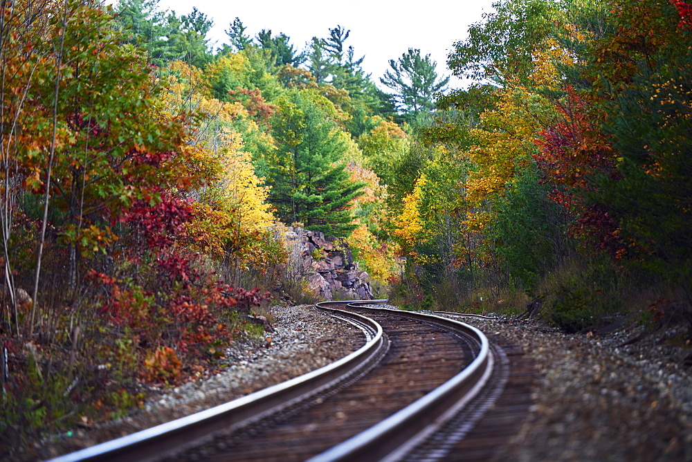 Railroad Tracks Winding Through An Autumn Coloured Forest In Muskoka, Ontario, Canada