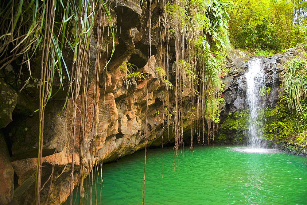 Lagoon With Small Waterfall, Annandale Falls, St. Georges, Grenada