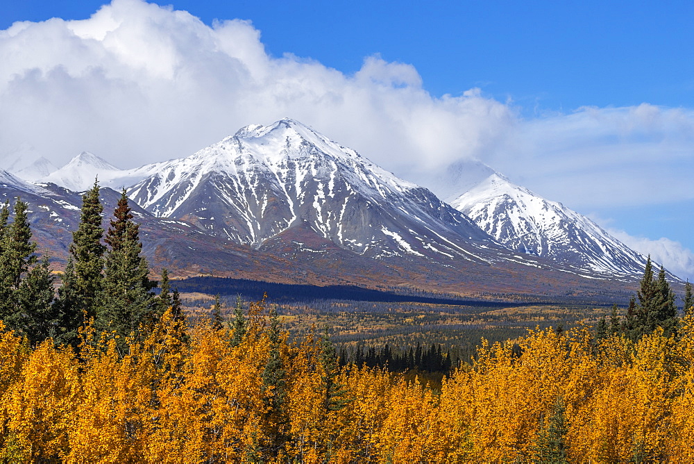 Autumn Scenic Along The Alaska Highway, Kluane National Park, St. Elias Mountains, Yukon Territory, Canada