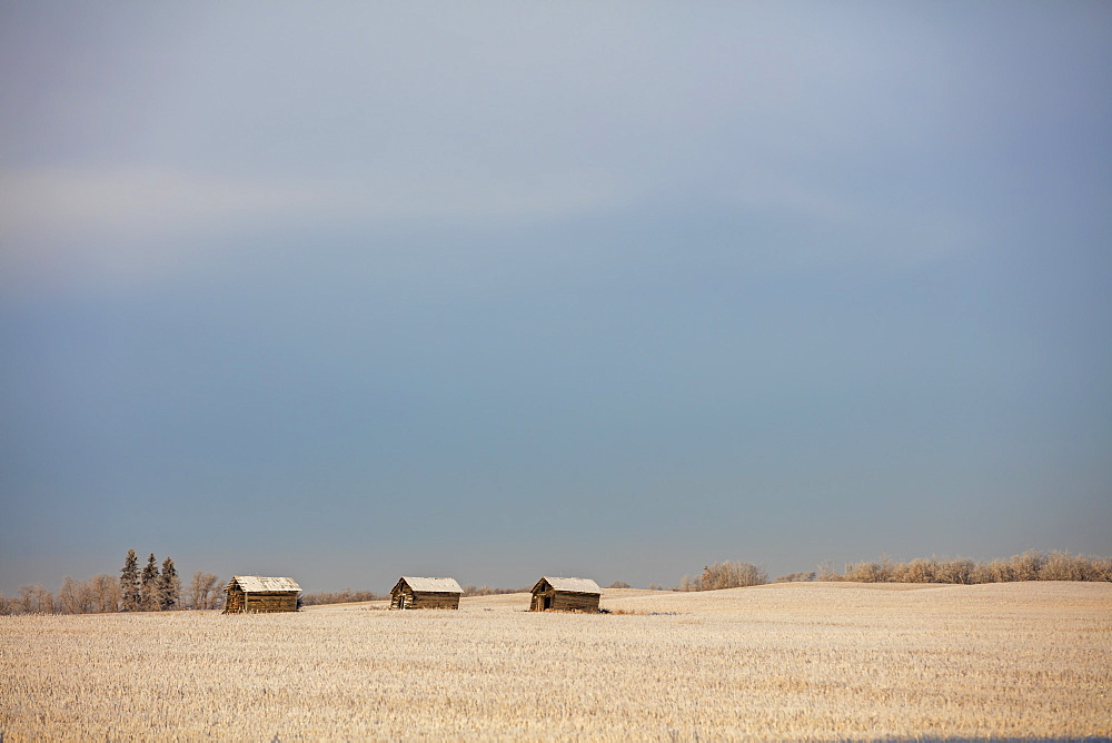 Old Out Building On Farm Land, Central Alberta, Alberta, Canada