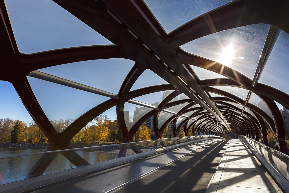 Interesting Silhouette Design Of Cylindrical Bridge With Sunburst And Trees And Buildings In The Background, Calgary, Alberta, Canada