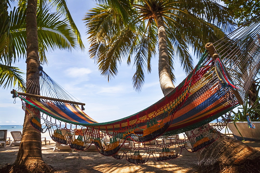 A Hammock Hanging From Palm Trees, Tamarindo, Costa Rica