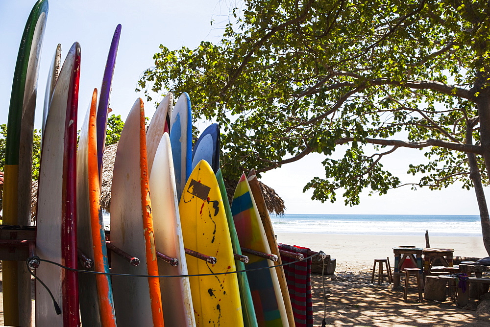 Surf Boards Available For Rent In Playa Hermosa, Nicaragua