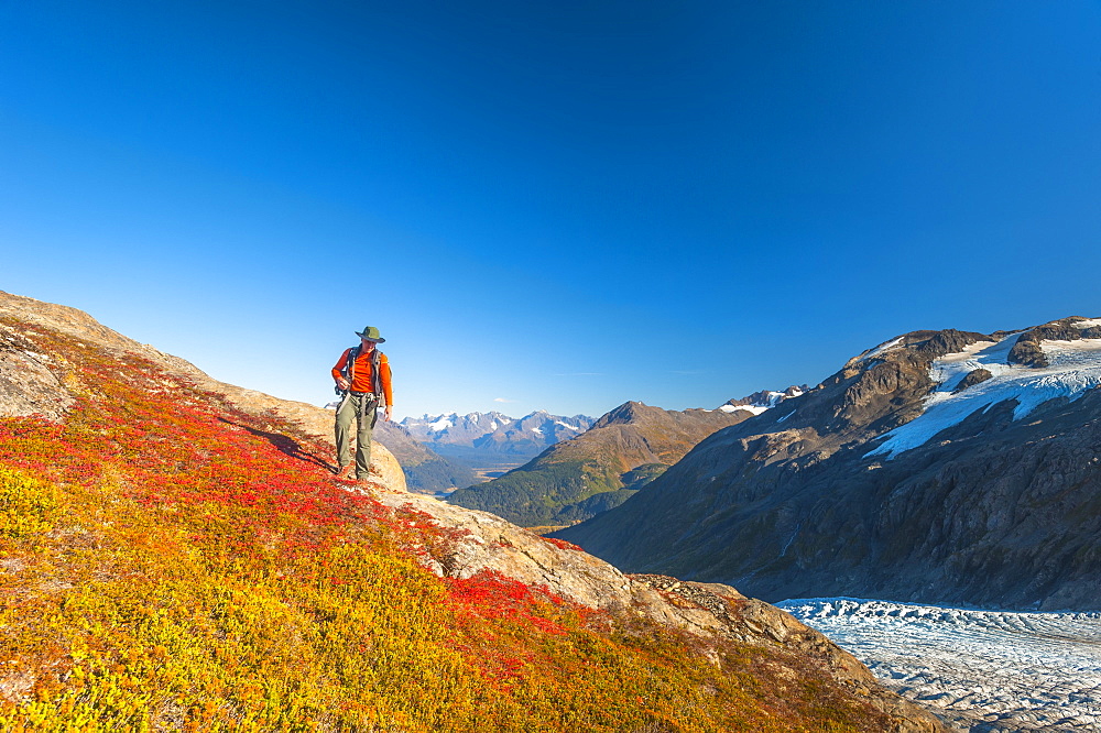 A Man Hiking Near An Unnamed Lake Near The Harding Icefield Trail In Kenai Fjords National Park On A Summer Day, South-Central Alaska, Alaska, United States Of America