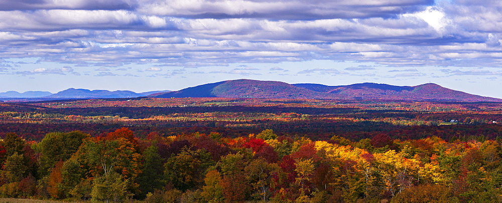 Mountain Range In Autumn Colours With Autumn Coloured Forest In The Foreground, West Bolton, Quebec, Canada