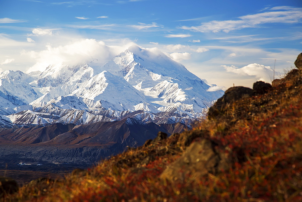 Denali As Seen From Thorofare Ridge Trail, Denali National Park, Alaska, United States Of America