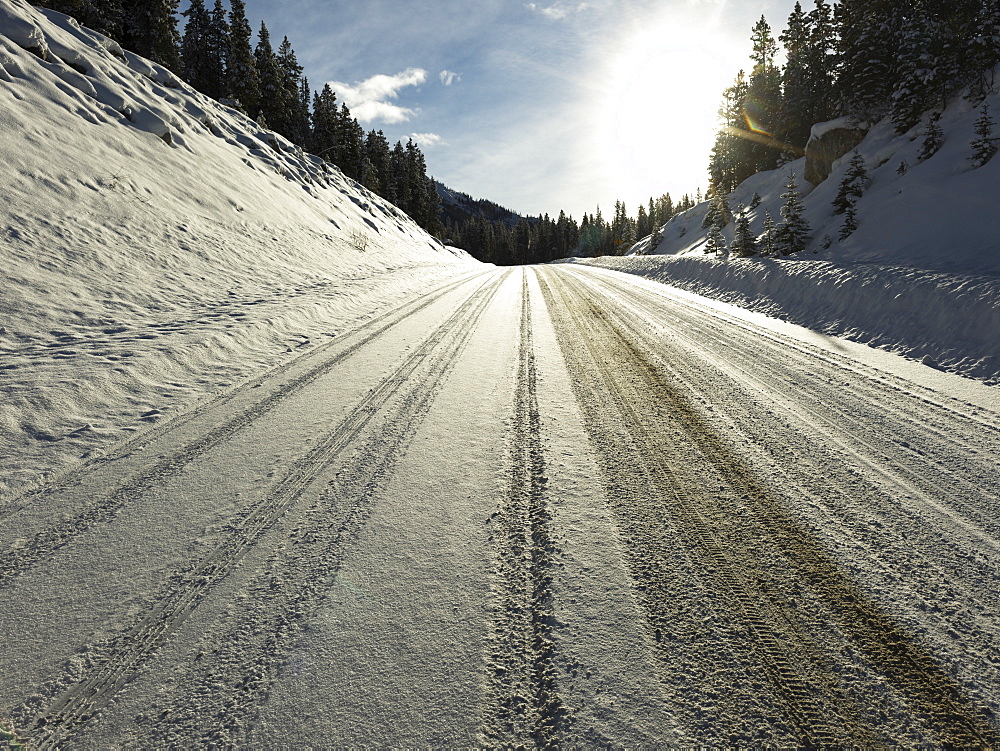 Snow Covered Road With Tire Tracks In Jasper National Park, Alberta, Canada