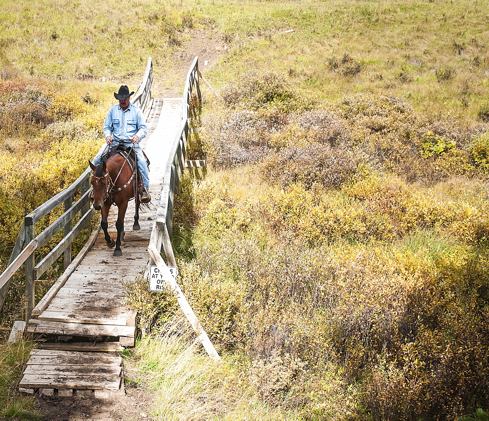 Cowboy And Horse Crossing Bridge, Clearwater County, Alberta, Canada