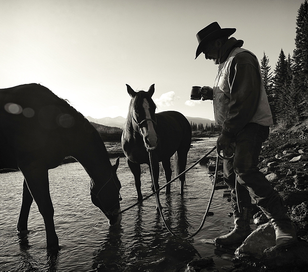 Cowboy Having His Morning Coffee At The Edge Of A River With His Horses, Ya-Ha-Tinda Ranch, Clearwater County, Alberta, Canada