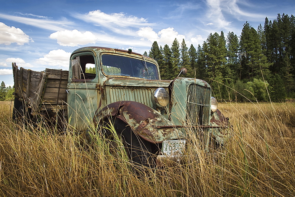 A Vintage Truck Abandoned In A Field, Palouse, Washington, United States Of America