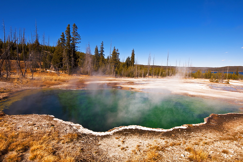 Hot Springs In Yellowstone National Park, Wyoming, United States Of America