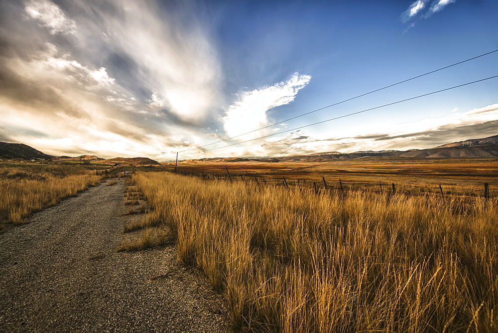 Grass Growing Along A Gravel Road, Utah, United States Of America