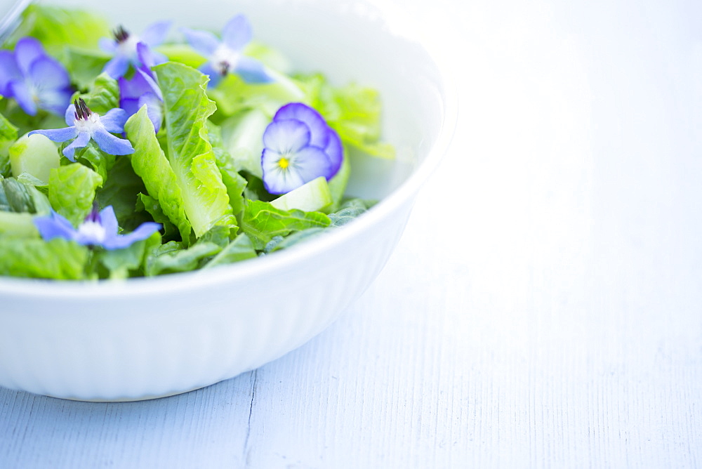 A Gourmet Green Salad With Blue Borage And Purple Pansy Flowers On A Blue Painted Board Background, New Westminster, British Columbia, Canada