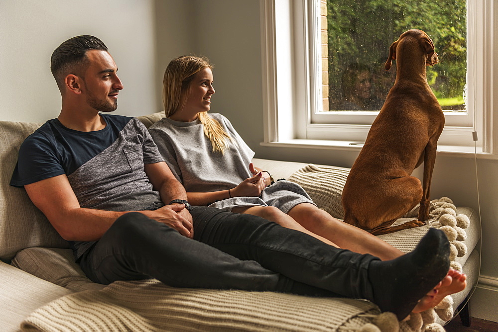 Couple On Sofa Watching Dog By Window, Reigate, England