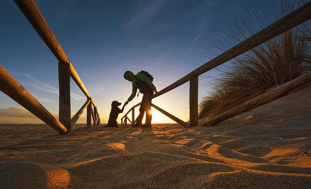 A Hiker With Backpack Stoops To Shake A Paw With A Dog On A Sand Path Leading To The Beach, Tarifa, Cadiz, Andalusia, Spain