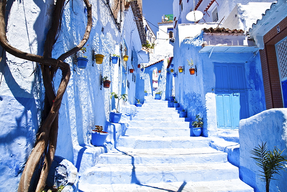 Steps Leading Up Between Rows Of Whitewash And Blue Painted Houses, Chefchaouen, Morocco