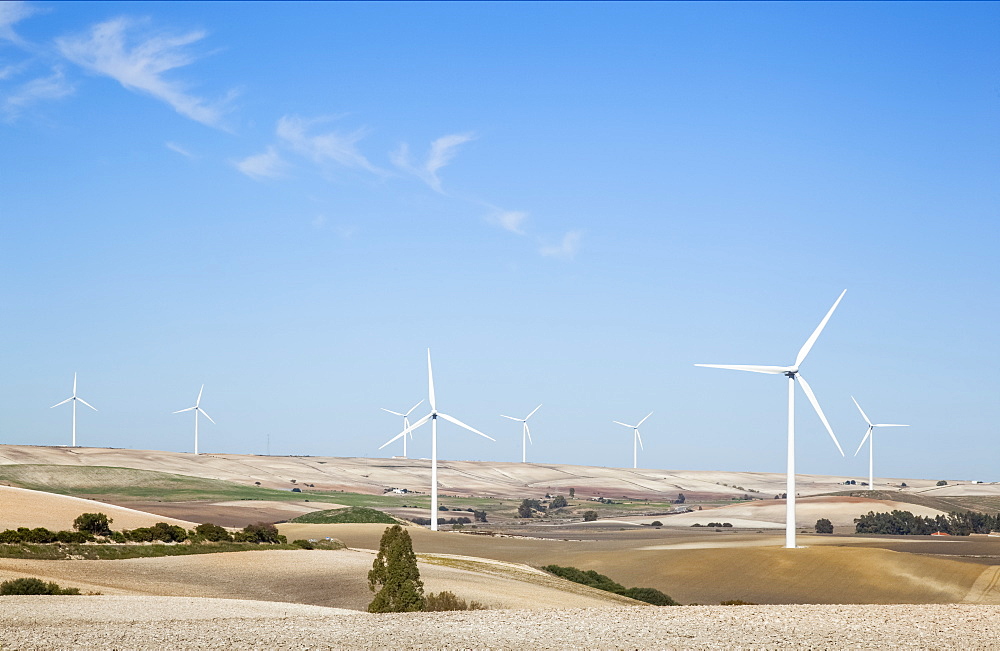 Wind Turbines In Fields With A Blue Sky, Andalusia, Spain