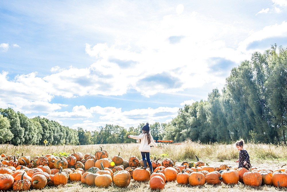 Two Young Girls In A Pumpkin Patch With Blue Sky And Forest Behind, Bright, Ontario, Canada