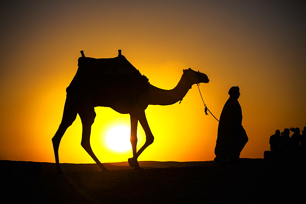 An Egyptian Man Silhouetted By The Setting Sun, Leads A Camel Across The Desert, Cairo, Egypt