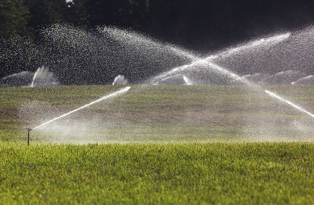 Irrigation Watering A Hay Field In The Cowichan Valley, Vancouver Island, British Columbia, Canada