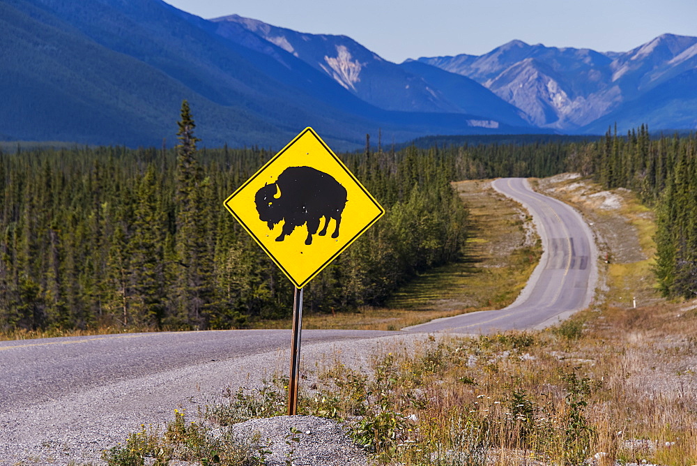 Bison sign posted on the side of the Alaska Highway, British Columbia, Canada