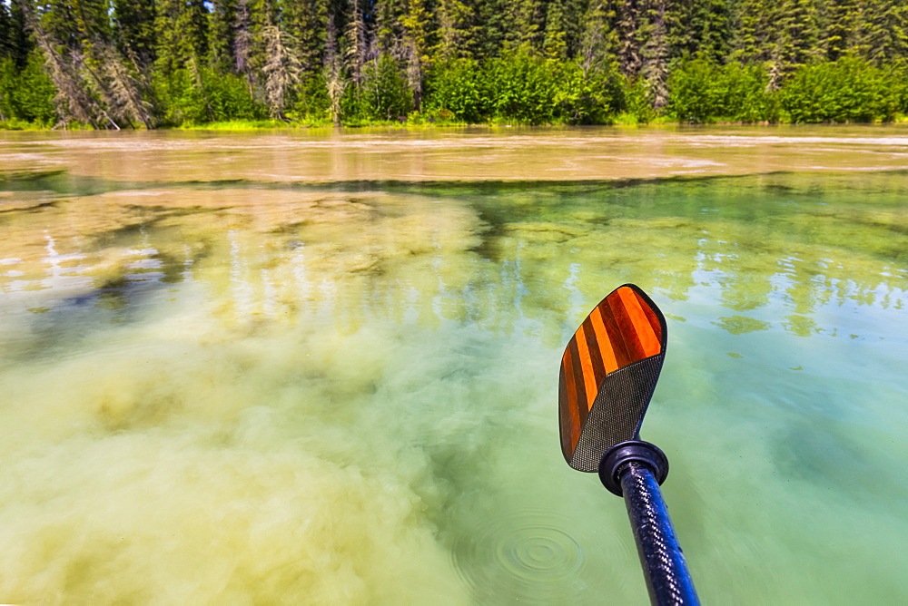 The silty water of the Tanana River meets the clear water of Clearwater River in Delta Junction, Alaska, United States of America