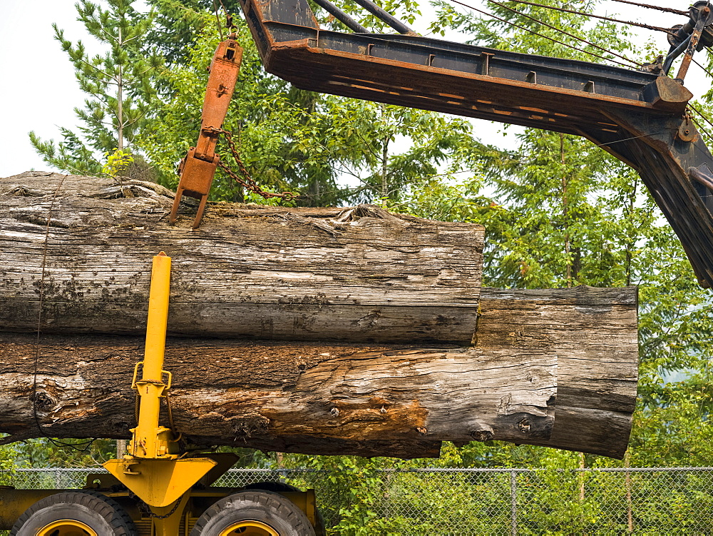 Large logs on a transport truck being lifted off, Riondel, British Columbia, Canada