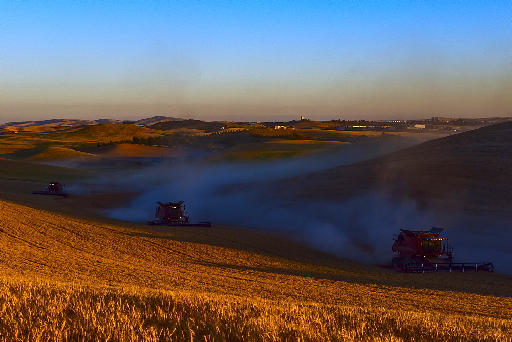 Harvesting Grain In The Palouse Region Of Eastern Washington, Washington, United States Of America