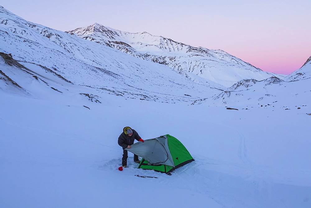 A Man Assembling A Tent After Sunset During A Winter Camping Trip In The Alaska Range, Near Augustana Glacier, Alaska, United States Of America