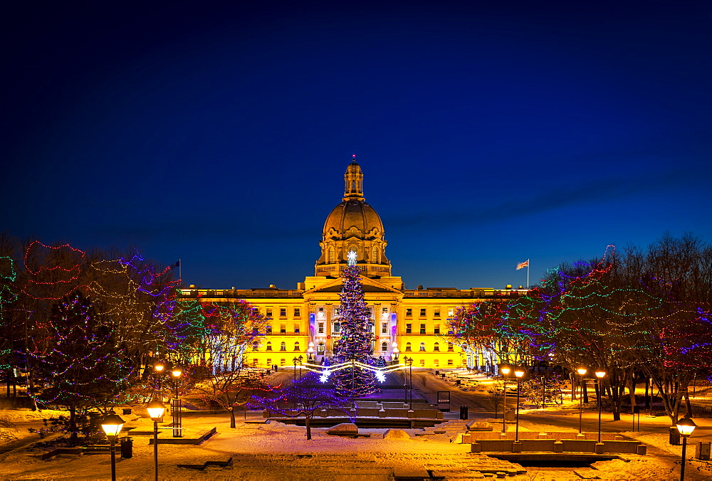 Alberta Legislature Building Illuminated And A Christmas Tree With Colourful Lights On The Trees For Decoration At Christmas Time, Edmonton, Alberta, Canada