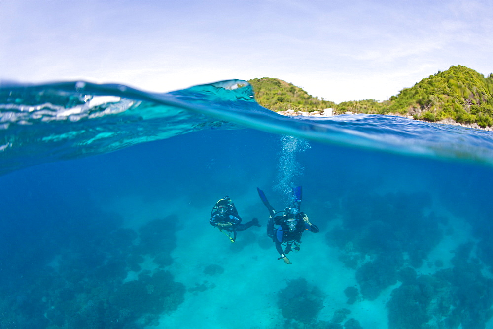 Apo Island Marine Park Negros Oriental Island Philippines Southeast Asia; Scuba Divers