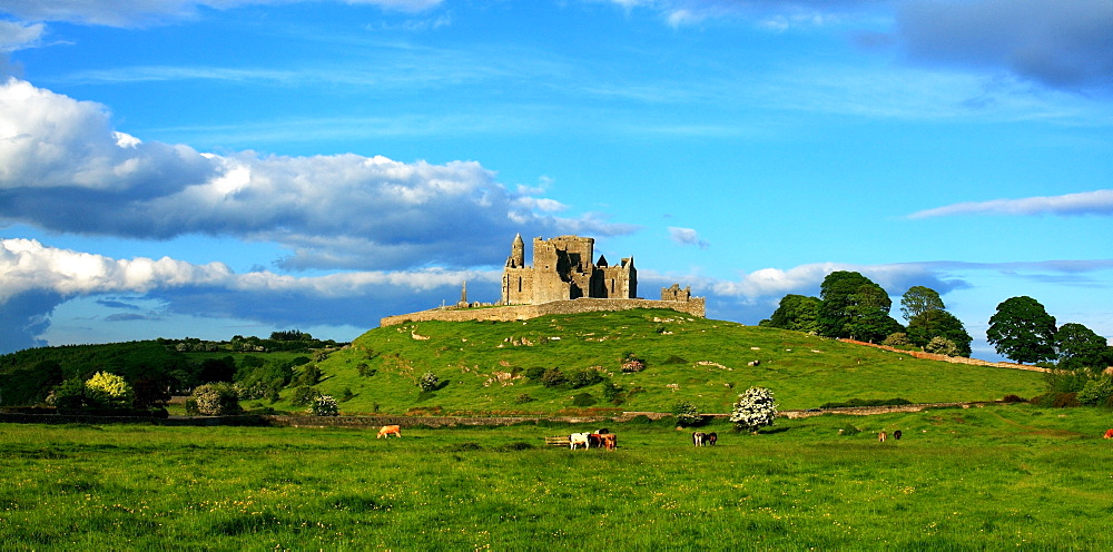 Rock Of Cashel, Cashel, County Tipperary, Ireland