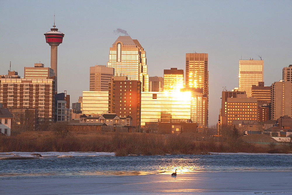 Calgary, Alberta, Canada; Bow River And Buildings Reflecting The Sun