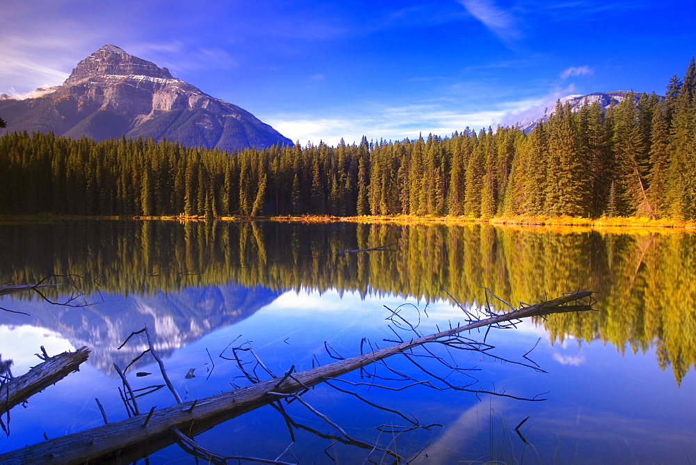 Pilot Pond In Banff, Alberta, Canada